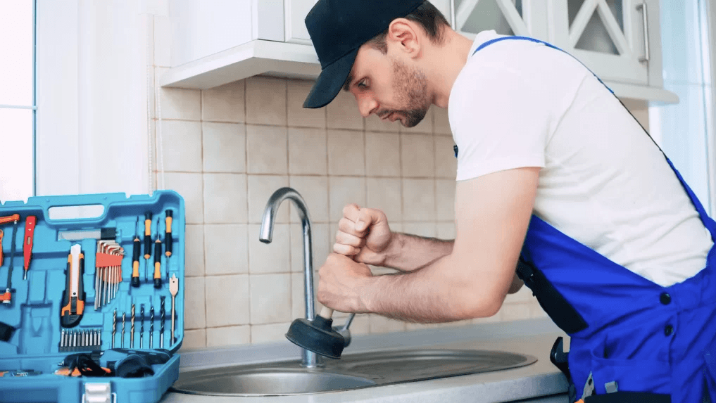 Professional Plumber Services: Essential Solutions for Modern Homes